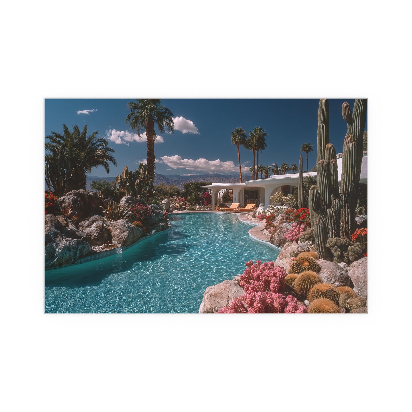 Palm Springs Pool