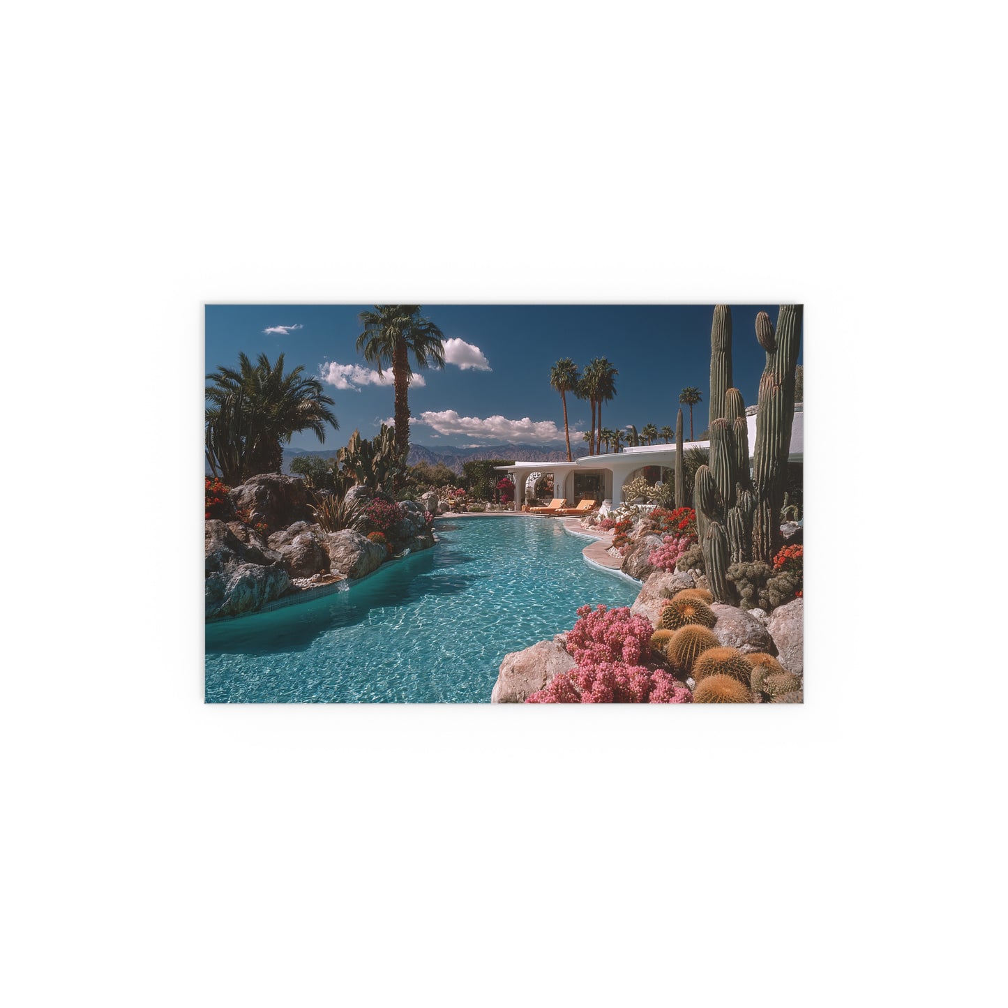 Palm Springs Pool