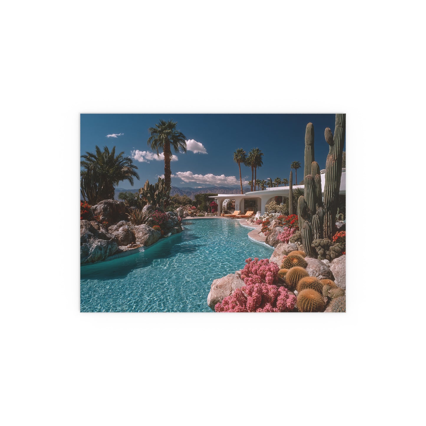 Palm Springs Pool